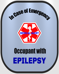 Epilepsy Medical Alert Seat Belt Cover - Window Decal Set