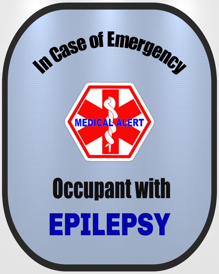 Epilepsy Decals Medical Alert Safety StickerSet of 2 Safety